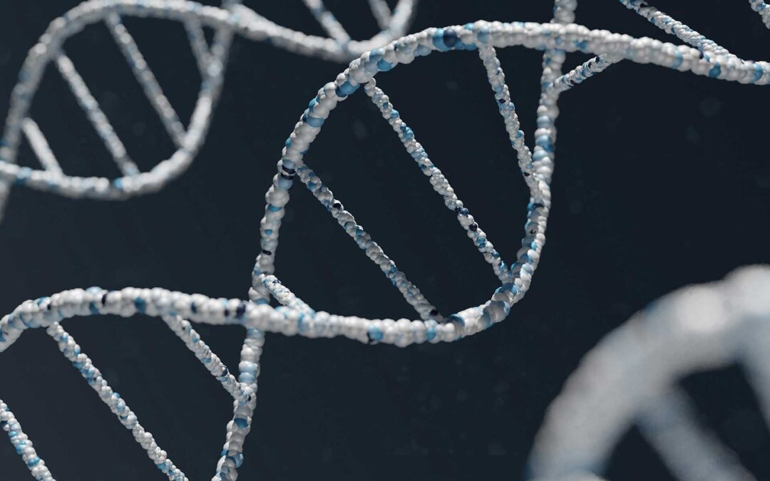 Ser_DNA